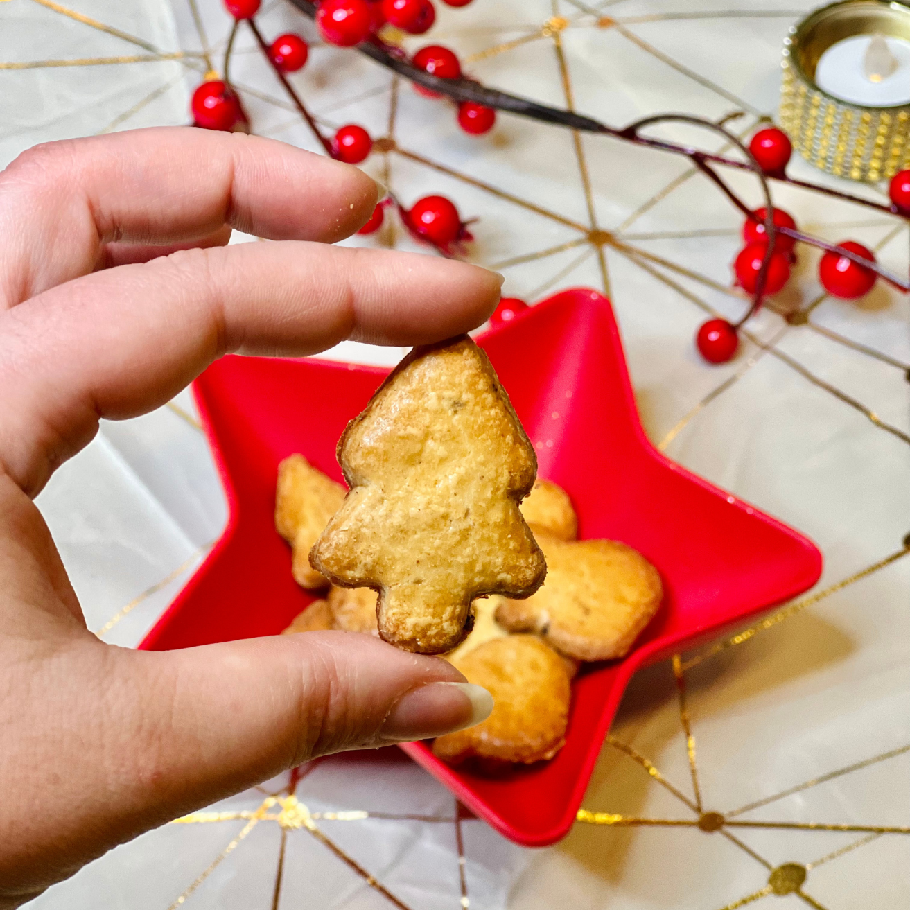 Biscuits noël au gingembre épicé