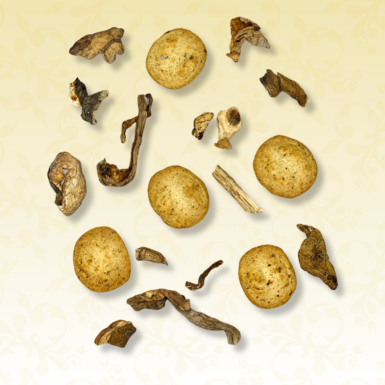 Cèpes